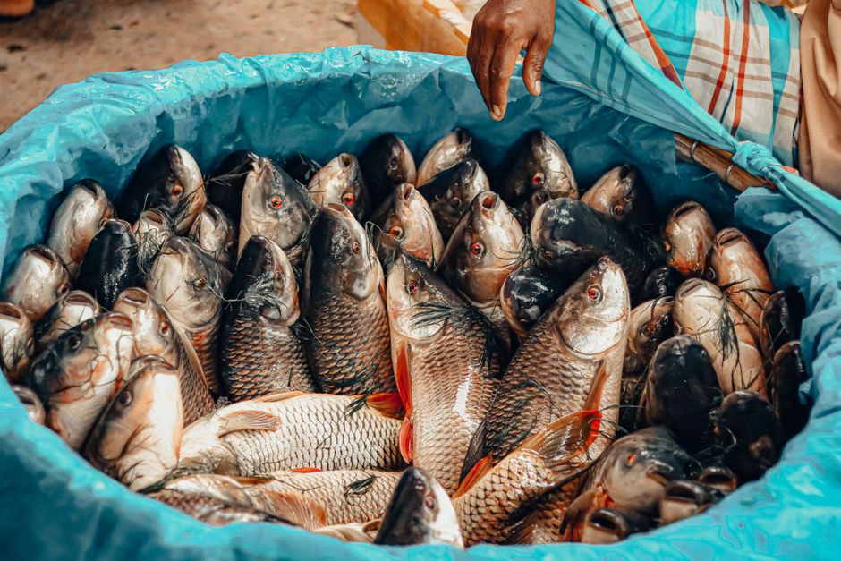 Weekend Farmers Market in Kochi