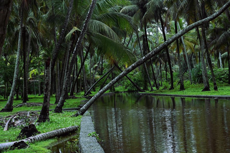 Kakkanad neighbourhood in Kerala