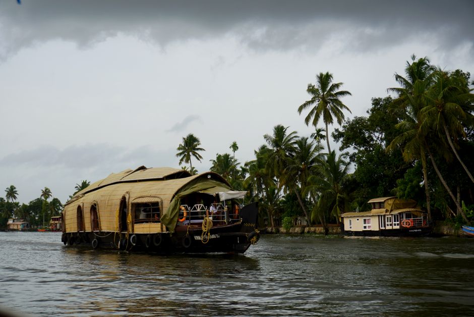 Kerala backwaters at dawn